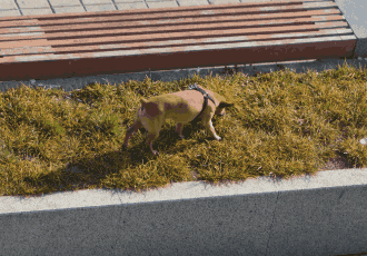 Regular Dog Poo Removal 10 11zon